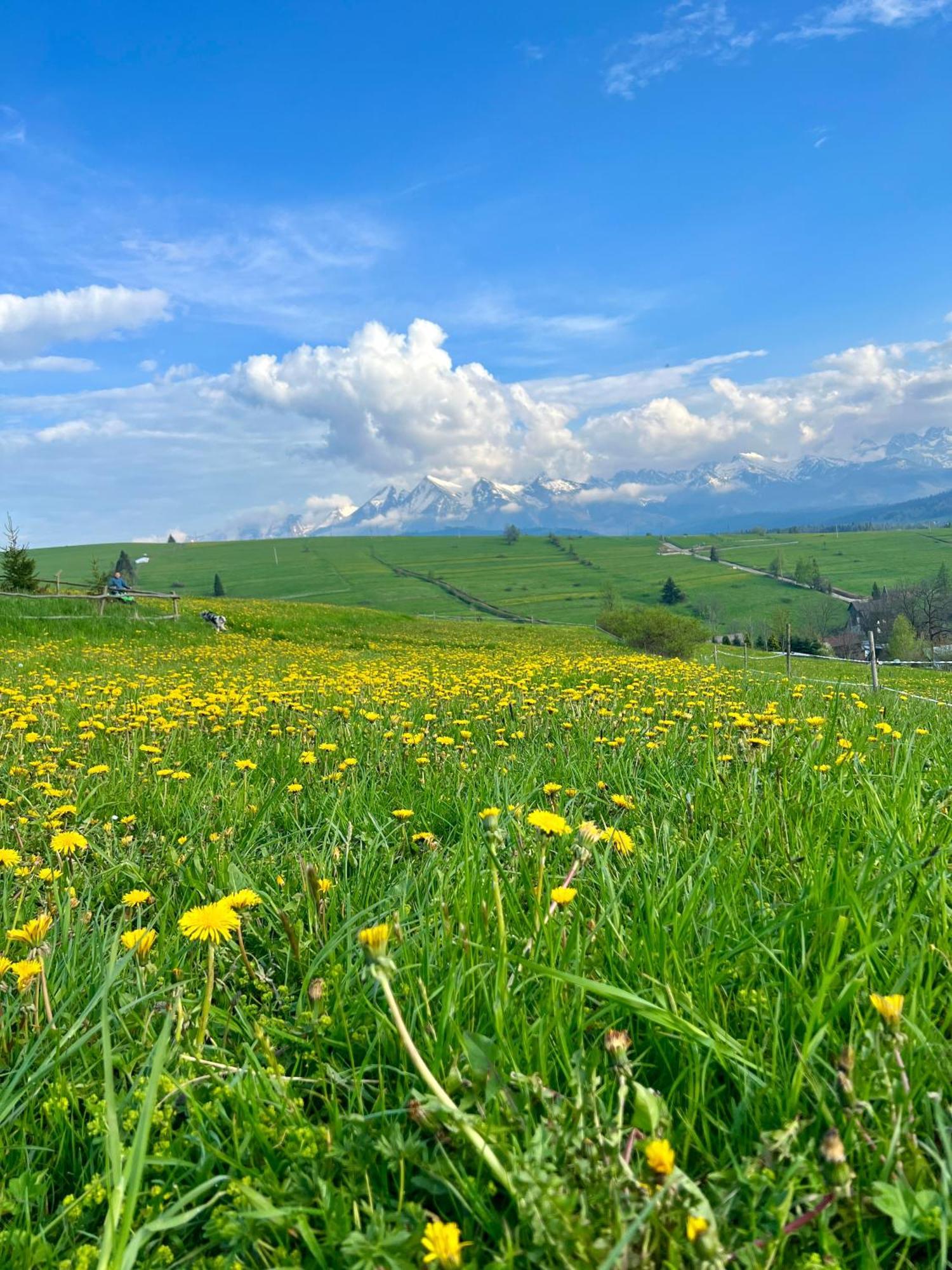 Agrodomek Rzepiska Zewnętrze zdjęcie